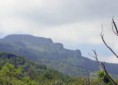 /album/galeria-de-fotos-pagina-inicial/foto-da-natureza8-jpg1/